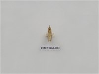 藏品(尺蠖蛾科)的圖片